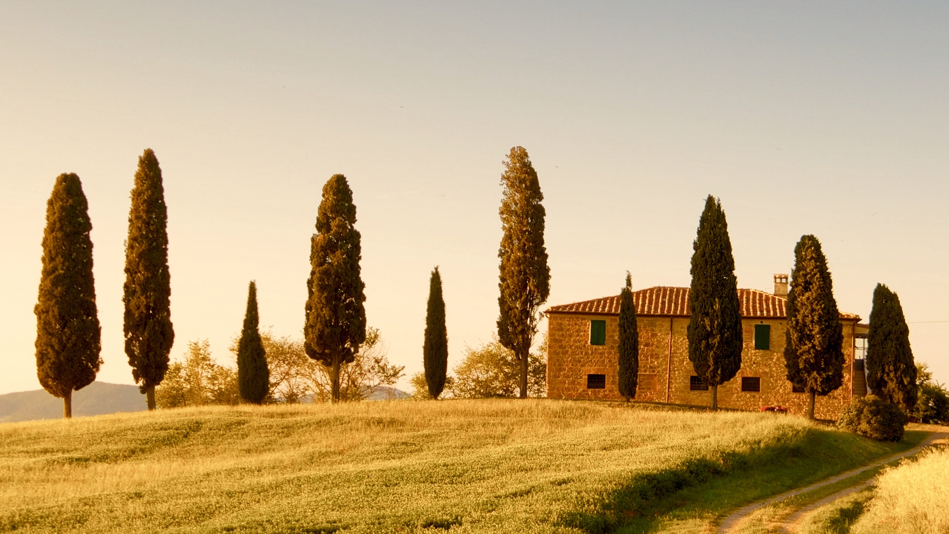 Explore the rustic hilltop town-Pienza engraved in the Italian cypress trees